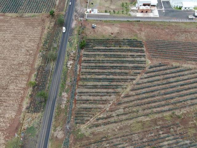 TERRENO INDUSTRIAL EN VENTA EN EL ARENAL JAL
