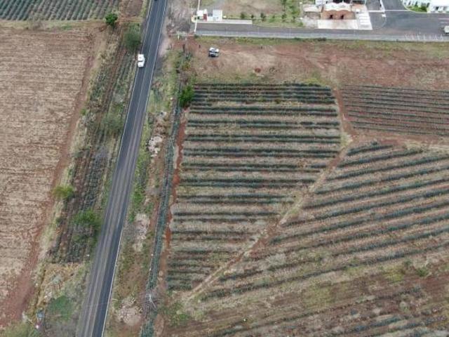 TERRENO INDUSTRIAL EN VENTA EN EL ARENAL JAL