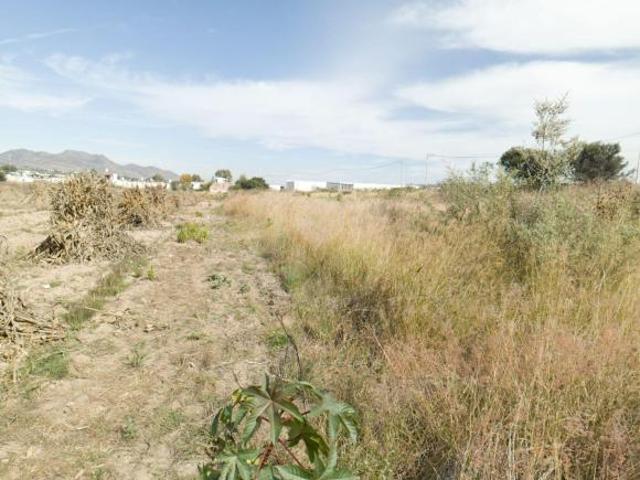 Terreno industrial en venta en Fraccionamiento Los Molinos