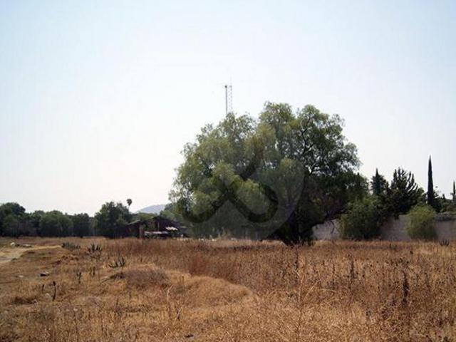 Terreno industrial en venta en Los Reyes Acaquilpan Centro