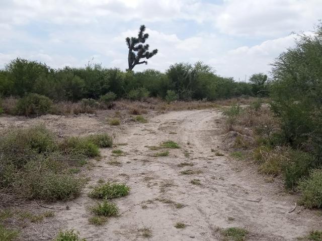 TERRENO INDUSTRIAL EN VENTA EN SALINAS VICTORIA N.L