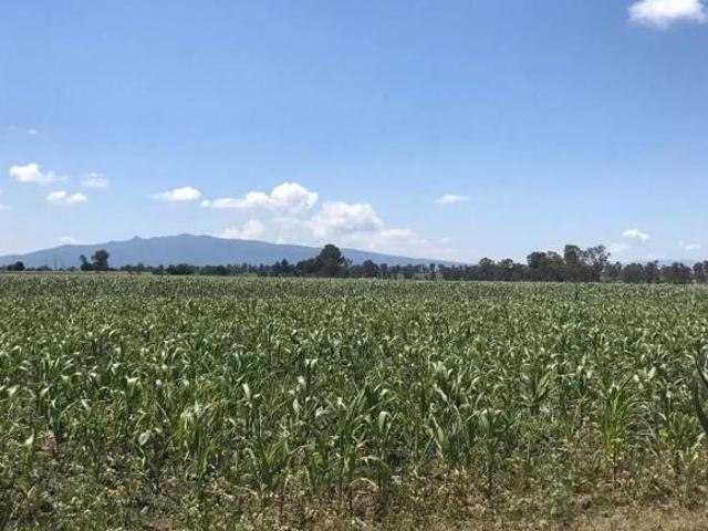 Terreno Industrial en Venta, en Polotitlan, Estado de Mexico