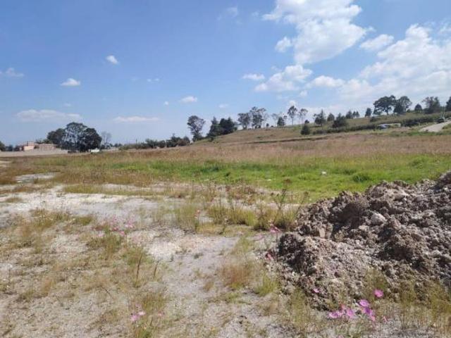 TERRENO INDUSTRIAL EN VENTA EN PALMILLAS SON 13 HECTAREAS