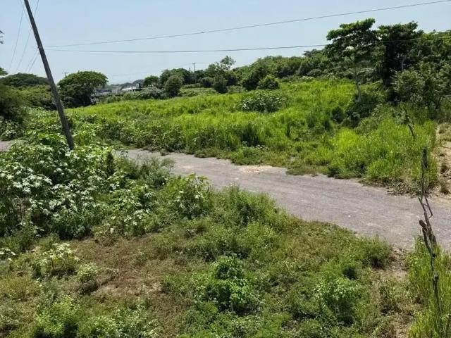 Terreno industrial en venta en Veracruz, zona villarin