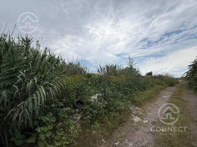 Terreno industrial en VENTA ideal para Bodegas L?on Gto