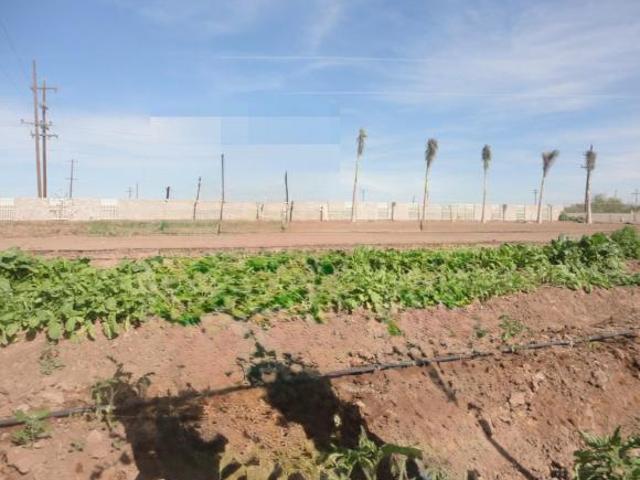 TERRENO INDUSTRIAL EN VENTA / RENTA