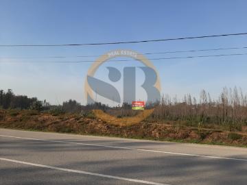 Excelente Terreno para Investimento Industrial