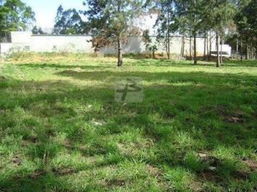 Terreno à venda no Jardim São Paulo