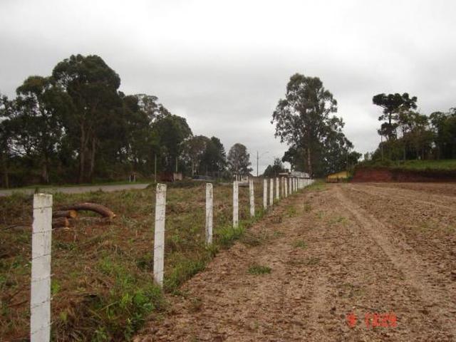 Terreno para Venda • 10.500 m² • Marialva PR