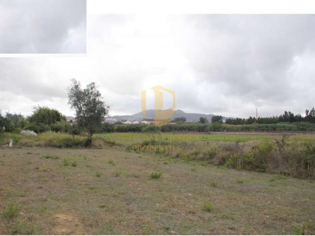Terreno Industrializado no Ral Terrugem
