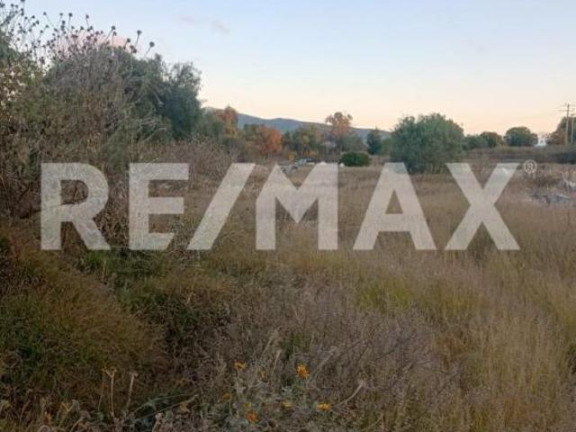 TERRENO INDUSTRIAL/MINERO EN VENTA – HUICHAPAN, HIDALGO 4