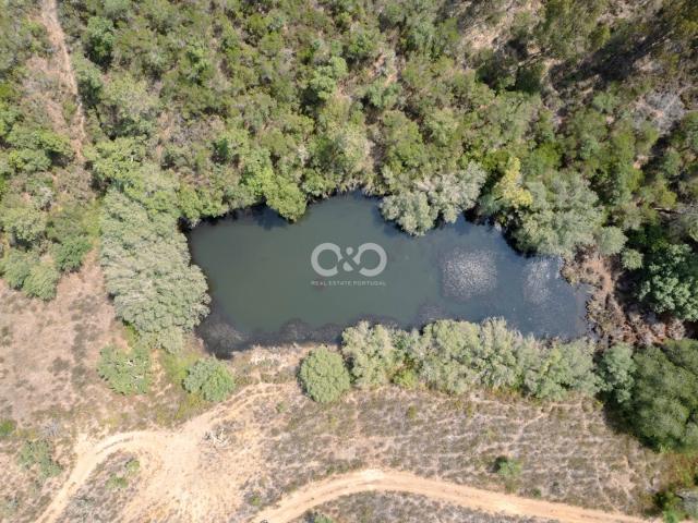 Terreno Investimento em Aljezur