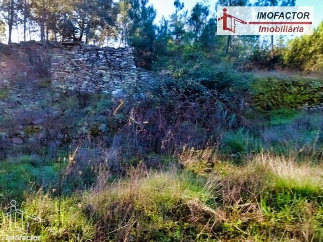 Terreno Isolado com Poço e Ruína Sto André Tojeiras Castelo Branco