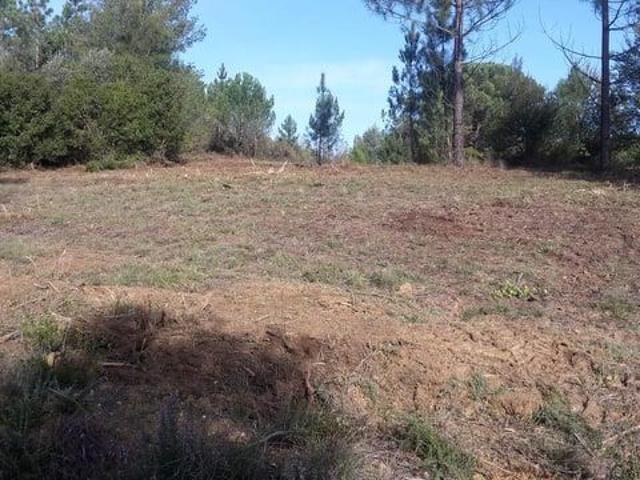 Terreno junto à Cidade T2422/19