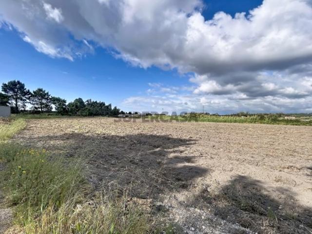 Terreno junto à A8 com elevada capacidade construtiva | Caldas da Rainha