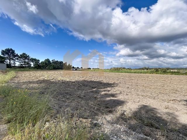 Terreno junto à A8 com elevada capacidade construtiva | Caldas da Rainha