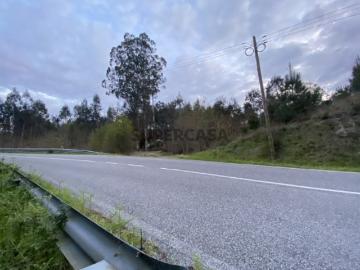 Terreno junto a EM 624 Tondela 1180m2 Vende se 20 000€