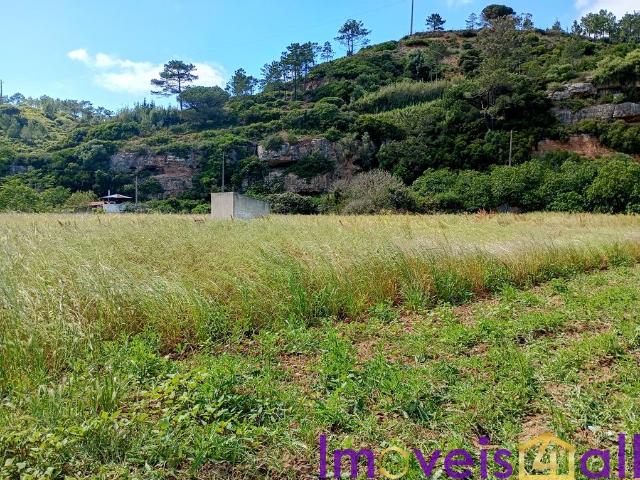 Terreno junto a Ericeira