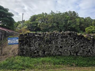 Terreno Junto à Estrada Regional com Duplo Potencial Construtivo