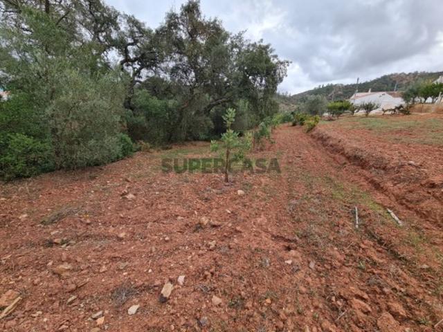Terreno junto a povoação