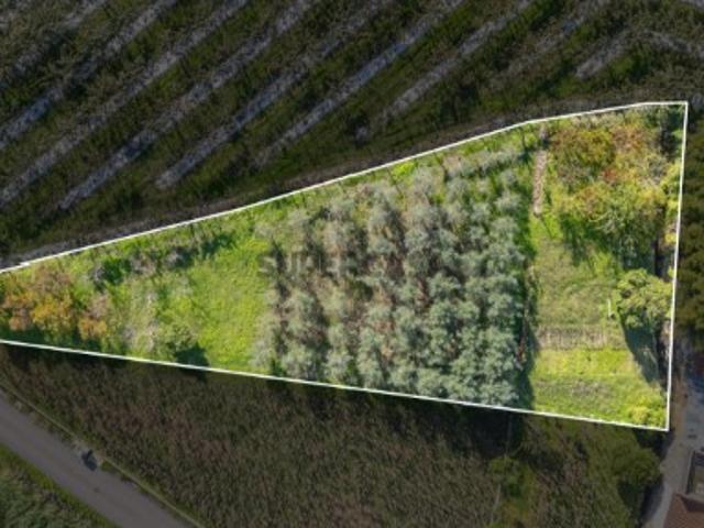 Terreno junto a Ribeiro em Quinta do Colaço Almalaguês/Coimbra