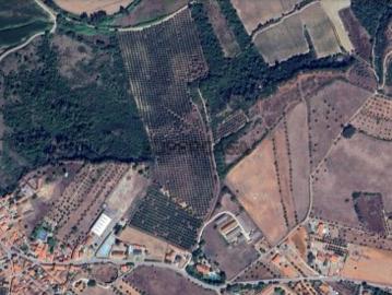 Terreno junto à Vila da Marmeleira Rio Maior