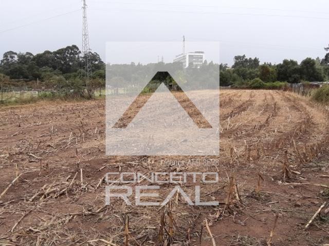 Terreno Junto ao Rio Leça