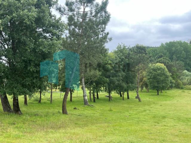 Terreno junto rio Lena para venda