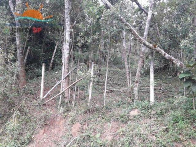 TERRENO JUQUITIBA