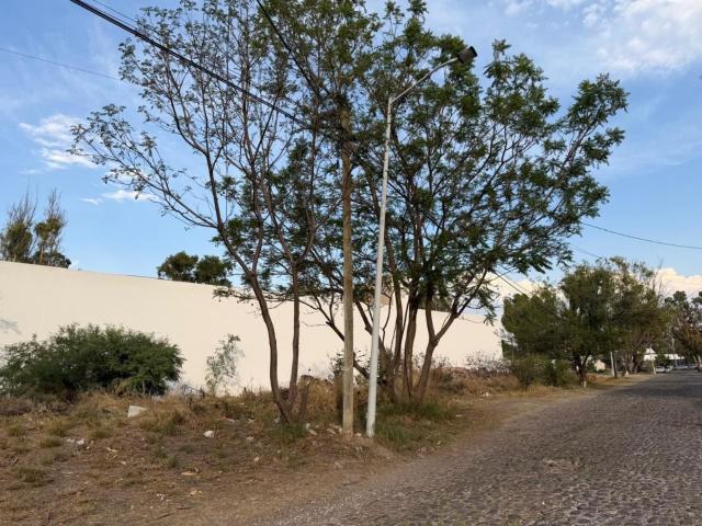 Terreno Jurica