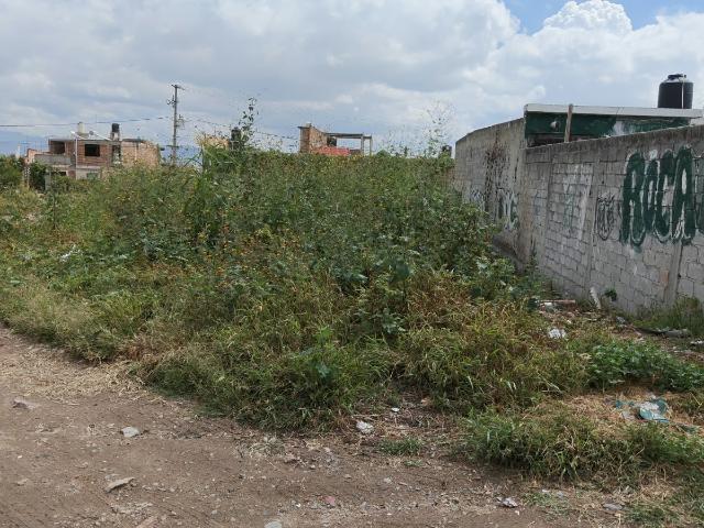 TERRENO JACINTO LÓPEZ
