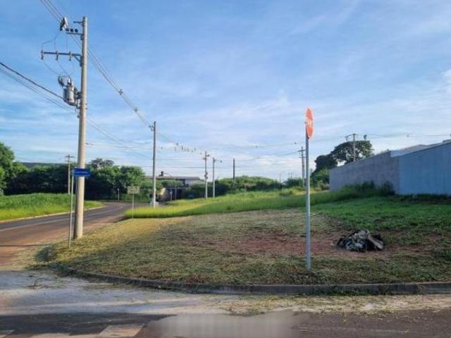 Terreno Santa Gertrudes
