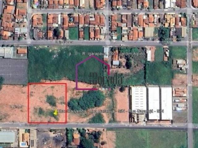 Terreno, Jardim Alpino, Catanduva, SP