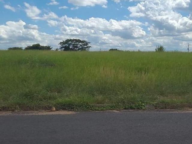 Terreno, Jardim Alpino, Catanduva, SP