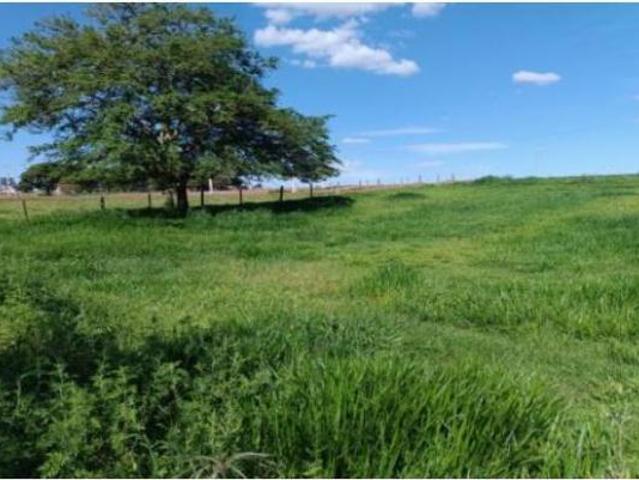 Terreno, Jardim Bela Vista, Moreira Sales, PR