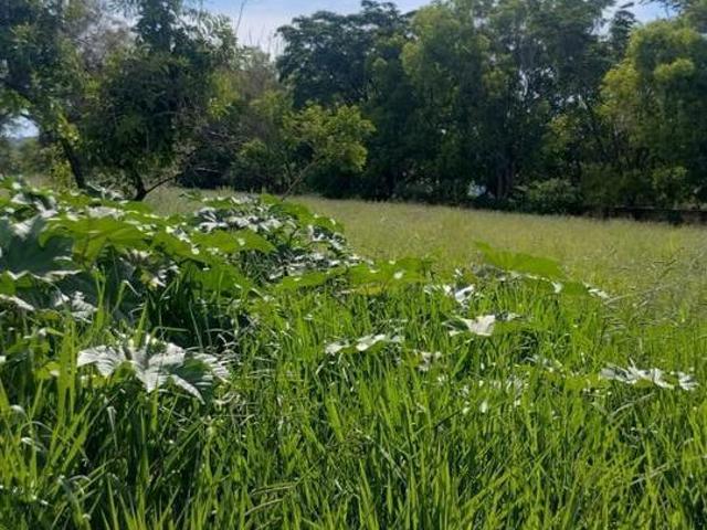 Terreno Jardim Botânico