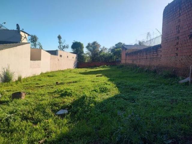 Terreno, Jardim das Palmeiras, Santo Ângelo, RS