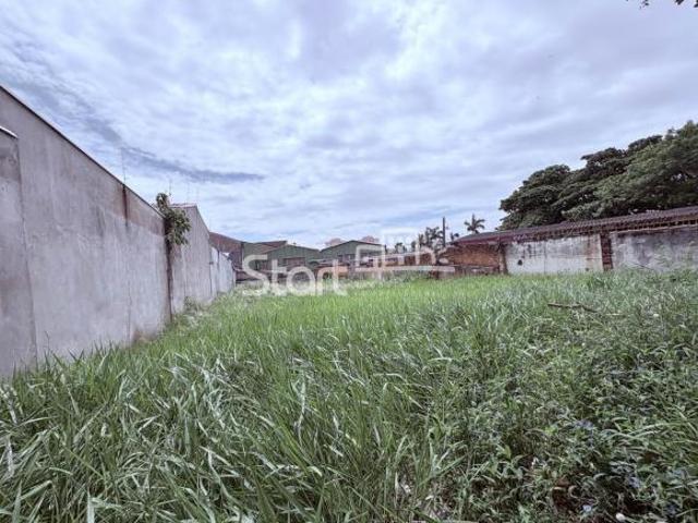 terreno à venda em Jardim do Trevo
