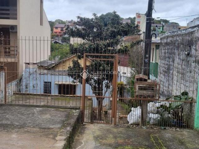 Terreno, Jardim Floresta