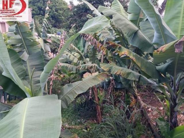 Terreno Jardim Olga