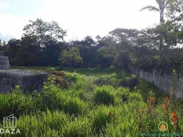 Terreno, Jardim Passárgada I, Cotia