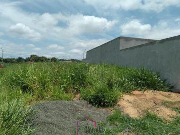 Terreno, Jardim Pedro Borgoni, Catanduva, SP