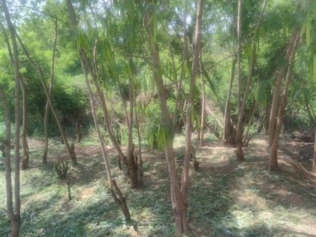 Terreno Jardim Iporanga