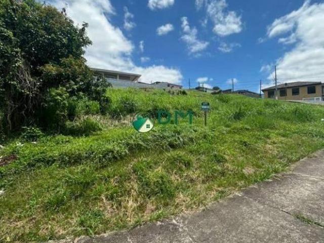 Terreno | Jardim Ribeira Cajati