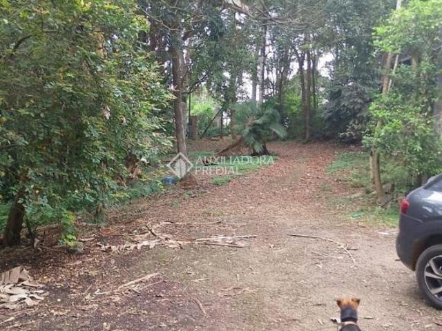 Terreno Jardim Santa Tereza São Paulo