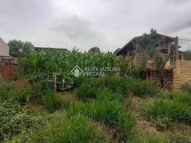 Terreno lugar alto