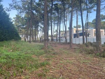 Terreno l Herdade da Aroeira