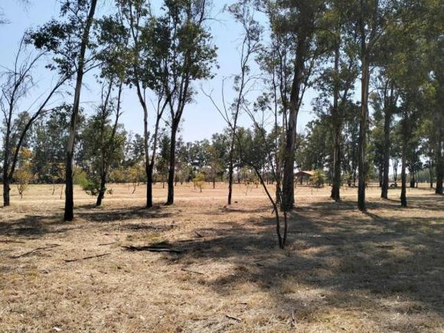 Terreno La Herradura 4