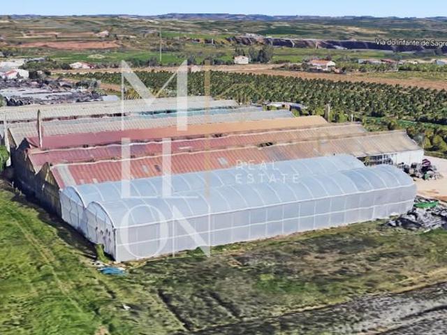 Terreno Lameiras