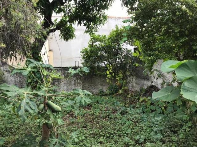 Terreno, Lauzane Paulista, São Paulo, SP